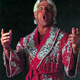 Image for article titled Rumor: Ric Flair, Bear Suit Spotted At EA LA